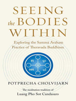 cover image of Seeing the Bodies Within